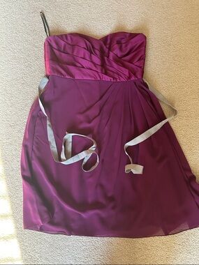 SORELLA VITA Strapless Plum A-Line Dress with Silver Sash